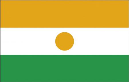 Schwenkfahne mit Holzstock - Niger - Gr. ca. 40x30cm - 77120 - Flagge, Stockländerfahne