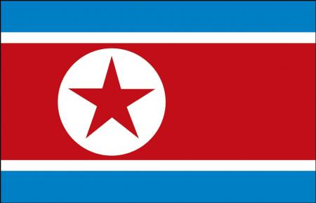 Schwenkflagge mit Holzstock - Nordkorea - Gr. ca. 40x30cm - 77122 - Länderflagge, Hissfahne, Stockländerfahne
