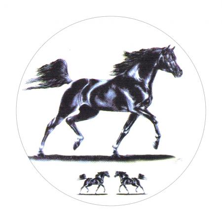 PVC-Aufkleber rund ca. 9 cm   Pferd  ©Kollektion Bötzel      PF065