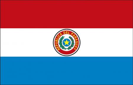 Dekofahne - Paraguay - Gr. ca. 150 x 90 cm - 80128 - Deko-Länderflagge