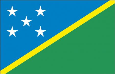 Länderfahne - Salomonen - Gr. ca. 40x30cm - 77139 - Schwenkflagge mit Holzstock, Stockländerfahne