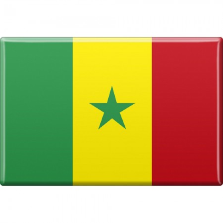 Kühlschrankmagnet - Länderflagge Senegal - Gr.ca. 8x5,5 cm - 37817 - Magnet