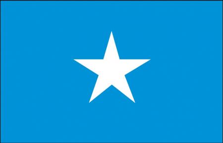 Stockländerfahne - Somalia - Gr. ca. 40x30cm - 77153 - Flagge, Hissfahne, Länderfahne