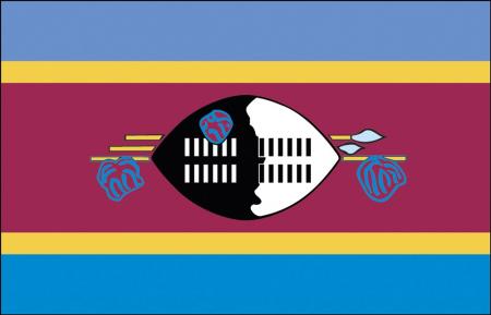 Stockländerfahne - Swasiland - Gr. ca. 40x30cm - 77161 - Schwenkfahne mit Holzstock, Flagge