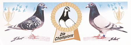 Auto-Aufkleber - Tauben Die Champions - Gr. ca. 22 x 8 cm - TB762/2