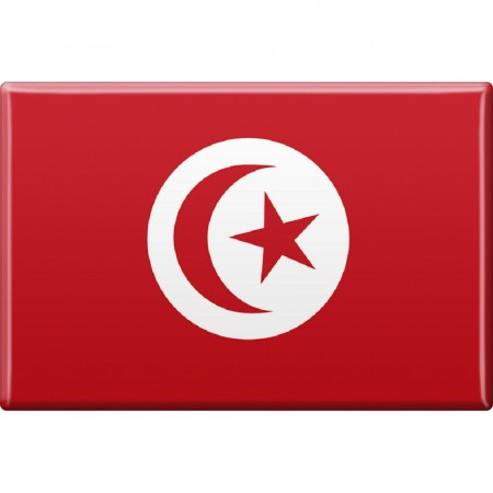 Magnet - Länderflagge Tunesien - Gr.ca. 8x5,5 cm - 37843