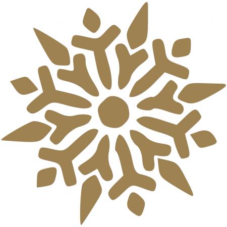 Wandtattoo Dekorfolie Weihnachtsstern WD0821 verschiedene Farben und Größen zur Wahl