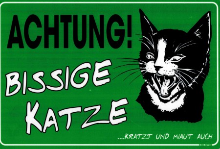 Schild - ACHTUNG! Bissige Katze - 309232 grün - Gr. ca. 30 x 20 cm