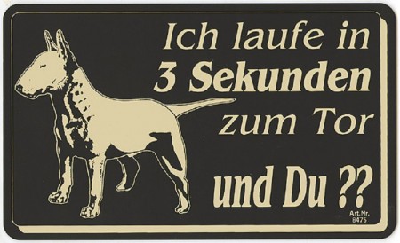 Warnschild - Ich laufe in 3 Sekunden zum Tor und Du? - 308475 - 25cm x 15 cm