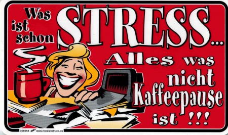 Funny Schild - WAS IST SCHON STRESS - 309253 - 25cm x 15cm - Arbeit Beruf Büro