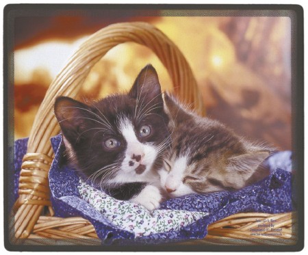 Mauspad Mousepad - Kätzchen im Korb - KA286 Gr. 24 x 20cm