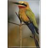 Kühlschrankmagnet - Vogel - Gr. ca. 8 x 5,5 cm - 37267 - Magnet Küchenmagnet