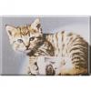 Kühlschrankmagnet - Katze Kätzchen - Gr. ca. 8 x 5,5 cm - 38448 - Magnet Küchenmagnet