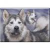 TIERMAGNET - Hund Husky - Kollektion Bötzel - Gr. ca. 8 x 5,5 cm - 38667 - Küchenmagnet
