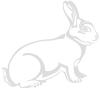 Aufkleber Applikation - Kaninchen - AP1241 - versch. Größen