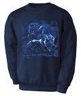 Kinder Sweatshirt mit Pferdemotiv - Rays Blue Fandango - ©Kollektion Bötzel - 08637 dunkelblau Gr. 116-164