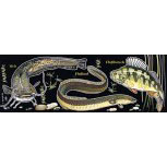 PVC Aufkleber Applikation Fisch - Angler - Angeln - FISCHE - 307369 - Gr. ca. 20 x 5,5 cm