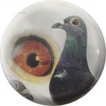 Ansteckbutton – Taube - Auge  - 18203 - Gr. 5,7cm