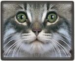 Mousepad Mauspad - Katze grüne Augen - 22530