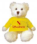 Plüsch - Teddybär mit Shirt - Baden - Größe ca 20 cm - 27030