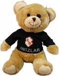 Plüsch - Teddybär mit Shirt - Fritzlar - 27087 - Größe ca 26cm