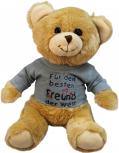 Plüsch - Teddybär mit Shirt - Für den besten Freund der Welt - 27091 - Größe ca 26cm