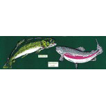 PVC Aufkleber Applikation Fisch - Angler - Angeln - FISCHE - 307139 - Gr. ca.  20 x 5,5 cm