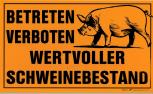 Schild - Betreten verboten wertvoller Schweinebestand - Gr. 25x15cm - Tiere Landwirtschaft - 308292