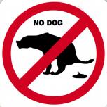 Hinweis- Schild - No Dog -  Gr. 20 X 20 cm - 308331 - Tiere Verbot