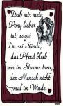 Schild mit Spruch - Dass mir mein Pony lieber ... - Gr. 25x15 cm - 309078 - Tiere Pferd