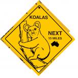 Schild mit Saugnäpfen - KOALAS next 15 Miles - 309140 - Gr. ca. 15 x 15 cm