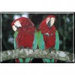 TIERMAGNET -  Vogel Papageien - Gr. ca. 8 x 5,5 cm - 37229 -Magnet