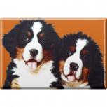 TIERMAGNET - Hunde Welpe - Gr. ca. 8 x 5,5 cm - 38422 - Küchenmagnet