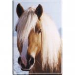 MAGNET - Pferde - Gr. ca. 8 x 5,5 cm - 38424 - Küchenmagnet