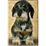 TIERMAGNET - Hunde Welpe - Gr. ca. 8 x 5,5 cm - 38425 - Küchenmagnet