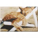 Kühlschrankmagnet - Katze Kätzchen im Liegestuhl - Gr. ca. 8 x 5,5 cm - 38428 - Magnet Küchenmagnet