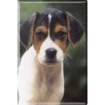 TIERMAGNET - Hunde Welpe - Gr. ca. 8 x 5,5 cm - 38444 - Küchenmagnet