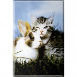 Kühlschrankmagnet - Katze Kätzchen Hase - Gr. ca. 8 x 5,5 cm - 38445 - Magnet Küchenmagnet