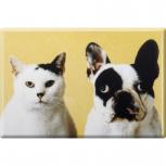 Kühlschrankmagnet - Hund und Katze - Gr. ca. 8 x 5,5 cm - 38446 - Magnet Küchenmagnet