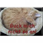 TIERMAGNET - Katze Kätzchen Guck mich nicht so an - Gr. ca. 8 x 5,5 cm - 38478 - Küchenmagnet