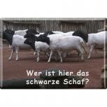 Kühlschrankmagnet - Ziegen - Schwarzes Schaf - Gr. ca. 8 x 5,5 cm - 38839 - Magnet Küchenmagnet
