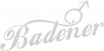 Aufkleber Wandapplikation - Badener - AP3991  - silber / 25cm