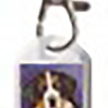 DESIGNER Schlüsselanhänger - Hundemotiv 2 - Collection Bötzel - Gr. ca. 70x25mm - 13101