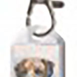 DESIGNER Schlüsselanhänger - Rhodesian Ridgeback - Collection Bötzel - Gr. ca. 70x25mm - 13113