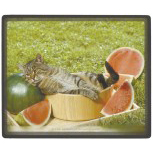 Mauspad Mousepad - Kätzchen liegend mit Melonen - KA287
