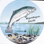 PVC Aufkleber Applikation - Fisch - Fische - Angeln - FORELLE - 307366 - Gr. ca. 8 cm