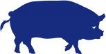 Aufkleber Applikation - Schwein - AP0439 - verschiedene Farben zur Wahl