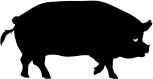 Aufkleber Applikation - Schwein - AP0439 - schwarz / 30cm