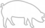 Aufkleber Applikation - Schwein - AP0467 - silber / 15cm