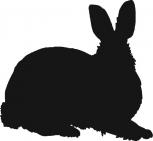 Aufkleber Applikation - Kaninchen - AP1231 - schwarz / 30cm